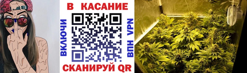 Альфа ПВП Теберда