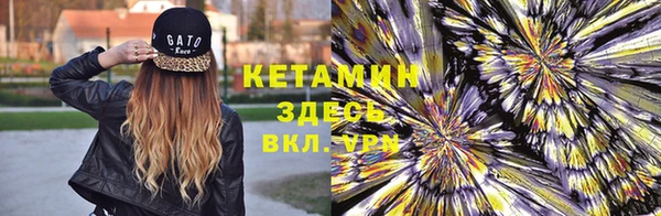 крисы Алексин