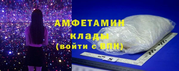 крисы Алексин